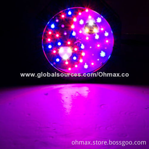 Integrated Taichi LED growth lights for nursery plants, full spectrum for medicinal plants growth